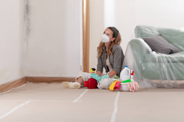 Reliable Basement Mold Remediation contractor in Falkland, NC by WQB Mold Removal